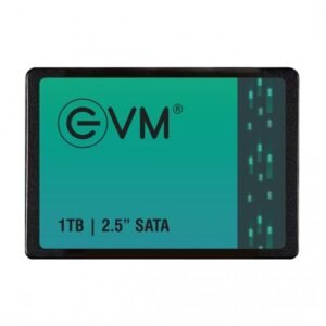 EVM 1TB 2.5 Inch SATA SSD EVM25/1TB